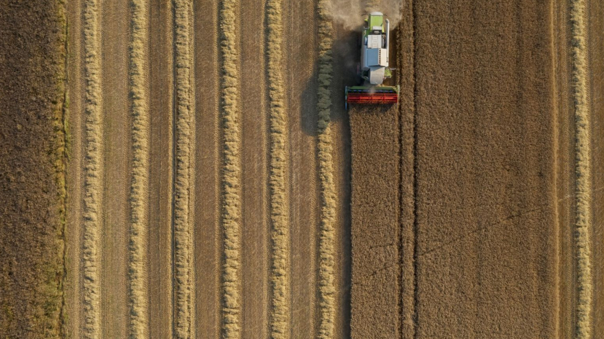 Zatwierdzone przez PE przepisy zwalniają małe gospodarstwa rolne o powierzchni poniżej 10 hektarów z kontroli i kar związanych z przestrzeganiem wymogów warunkowości w ramach WPR;  fot. © European Union 2021 - Source : EP