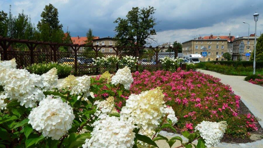 Fot.  Gmina Świebodzice